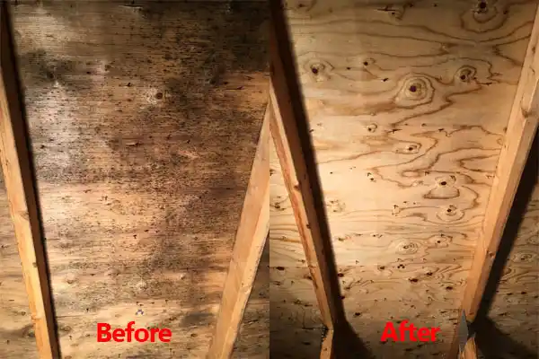 water damage restoration service Lake Junaluska